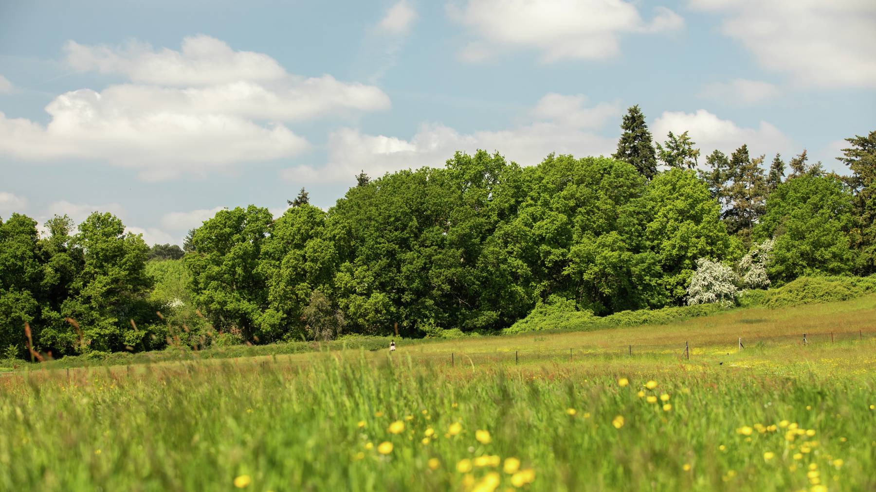 Local area photography of houses for sale in Woking