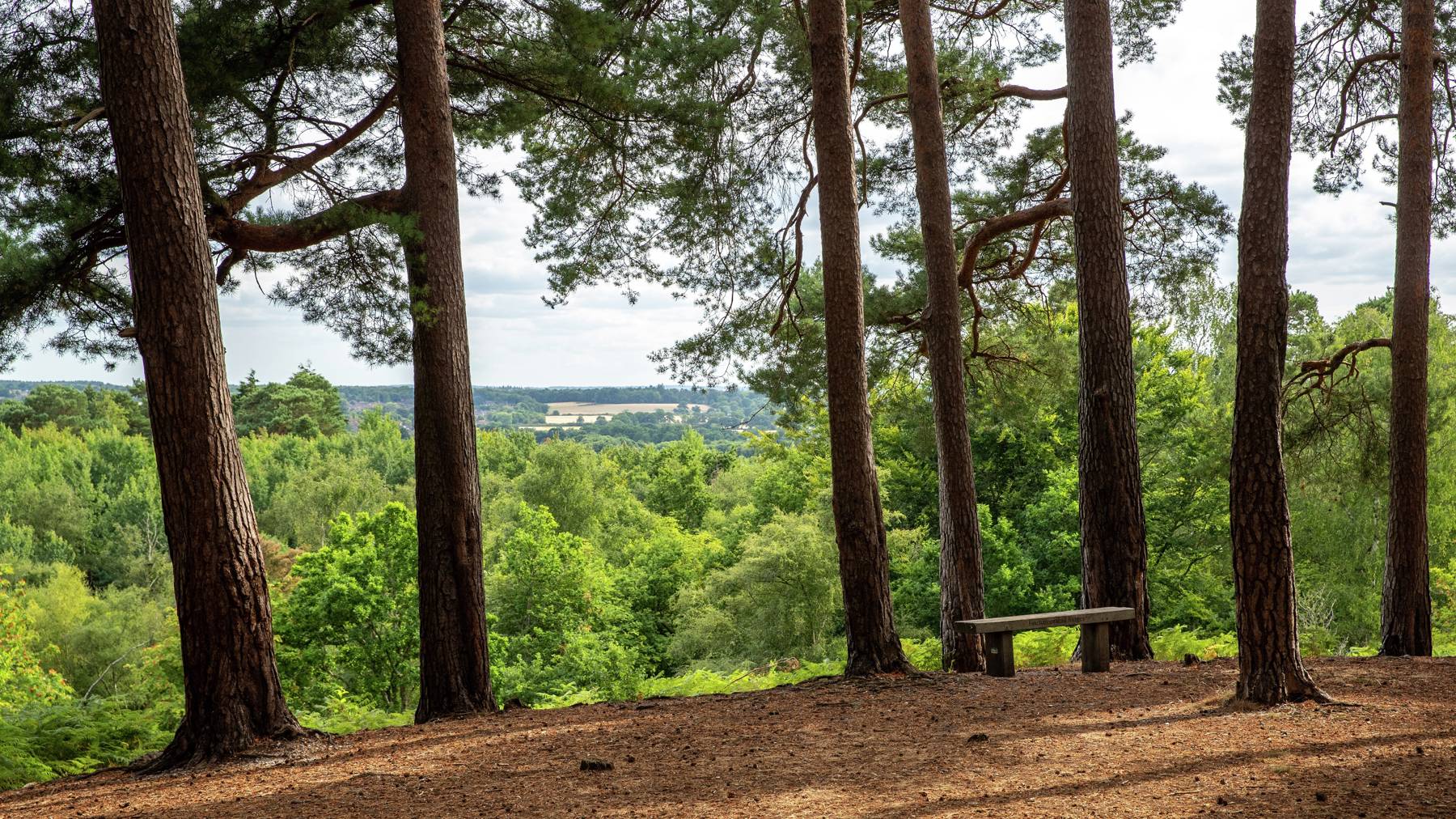 Local area photography for houses for sale in Finchampstead