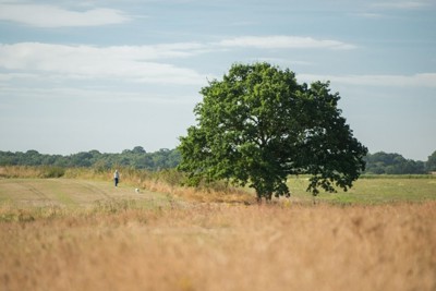 Things to do in Essex in Spring